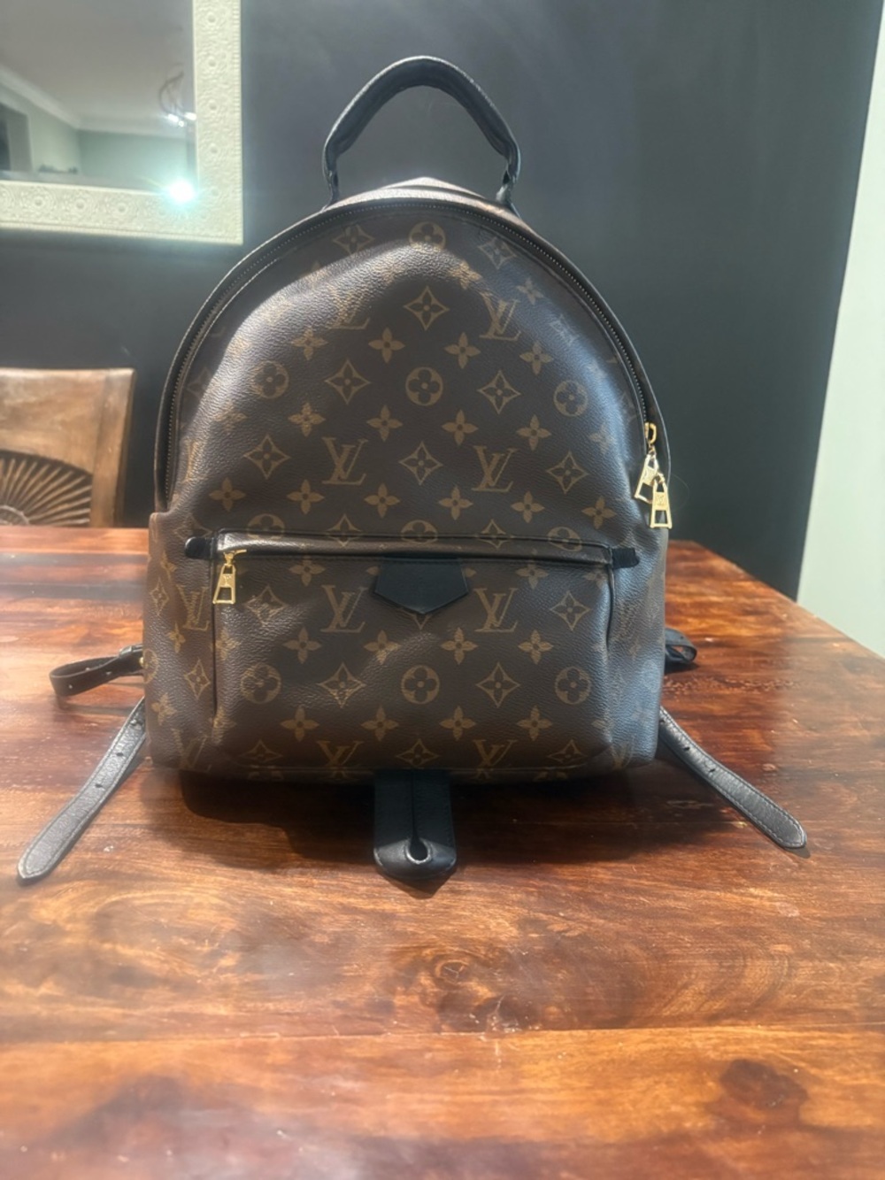 Louis Vuitton Palm Spring  Mini Backpack MM